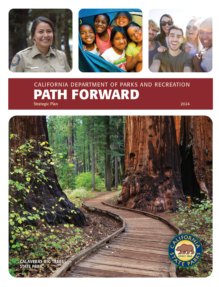 DPR Strategic Plan Cover Image
